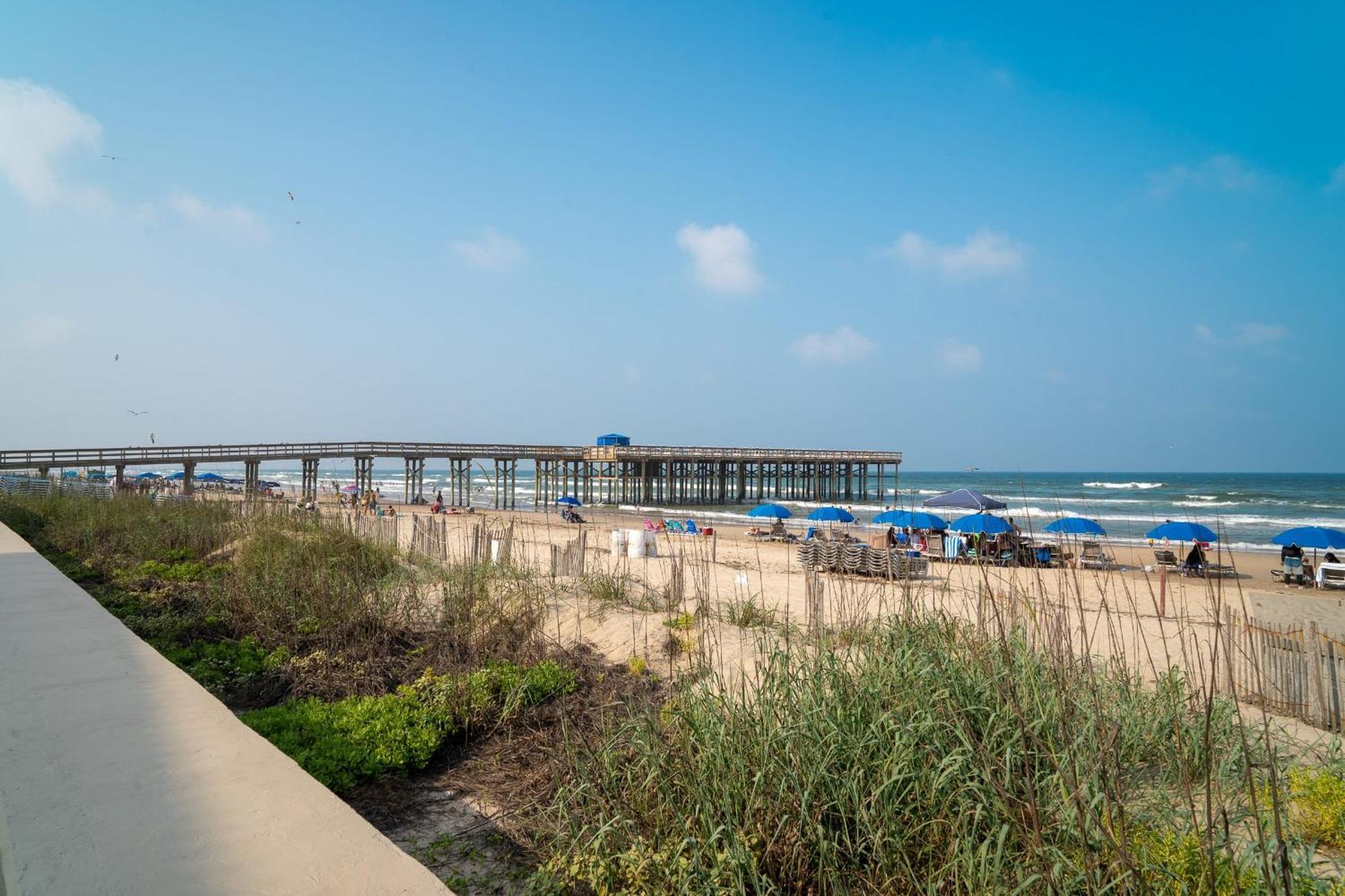 Kingfishers Retreat Serene 1Br Escape With Balcony 207 South Padre Island Eksteriør billede